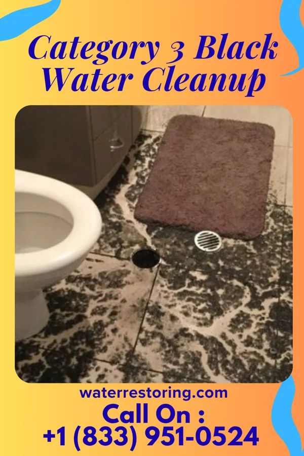 Category 3 Black Water Cleanup in Harbour Heights, FL